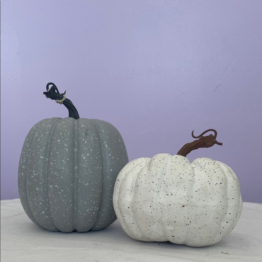 Gray and White Decorative Pumpkins